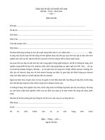 Mẫu đơn xin việc ngành IT