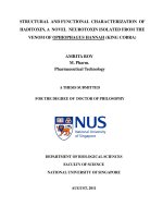 Structural and functional characterization of haditoxin, a novel neurotoxin isolated from the venom of ophiohagus hannah (king cobra 
