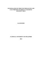 INVESTIGATION OF THE FUNCTIONS OF p23 AND COAT PROTEIN OF HIBISCUS CHLOROTIC RINGSPOT VIRU 