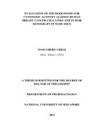 Evaluation of thymoquinone for cytotoxic activity against human breast cancer cell lines and tumor xenograft in nude mice 