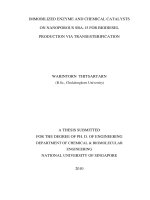 Immobilized enzymes and chemical catalysts on nanoporous SBA 15 for biodiesel production via transesterification 