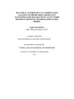 Multiple antibiotics in combination against extreme drug resistant acinetobacter baumannii in an in vitro pharmacokinetic pharmacodynamic model 