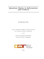 Quantum optics in information and control 