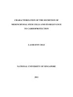 Characterization of the secretion of mesenchymal stem cells and its relevance to cardioprotection 