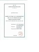 Nghiên cứu về thực vật và thành phần hóa học của cây cườm rụng hoa dài ( ehretia longiflora )
