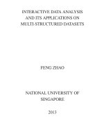 Interactive data analysis and its applications on multi structured datasets 