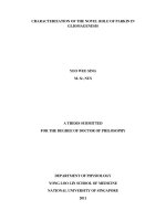 Characterization of the novel role of parkin in gliomagenesis 