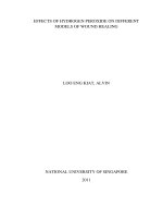 Effects of hydrogen peroxide on different models of wound healing 