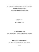 Synthesis and biological evaluation of isoindigo derivatives as anti proliferative agents 