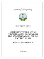 Nghiên cứu về thực vật và thành phần hoá học của loài bình vôi ( stephania sp ) thu hái ở mỹ đức, hà nội