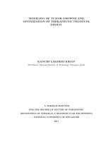 Modeling of tumor growth and optimization of therapeutic protocol design 
