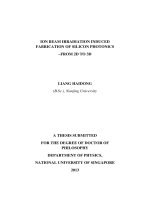Ion beam irradiation induced fabrication of silicon photonics   from 2d to 3d 