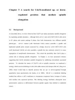 A study on premature segregation of unreplicated chromosomes 5 