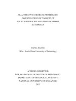QUANTITATIVE CHEMICAL PROTEOMICS INVESTIGATIONS OF TARGETS OF ANDROGRAPHOLIDE AND PROTEOLYSIS OF AUTOPHAGY 
