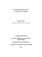 Metabolic profiling of colorectal cancer 