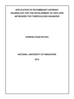 Application of recombinant antibody technology for the development of anti lipid antibodies for tuberculosis diagnosis 