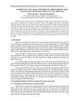 NGHIÊN cứu ỨNG DỤNG mô HÌNH số THÍCH hợp dự báo tài NGUYÊN nước mặt CHO lưu vực SÔNG BA 