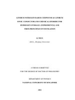 Lithium nitrogen based compound as lithium ionic conductor and chemical hydride for hydrogen storage  experimental and first principles investigation 