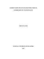 Understanding pellet filler interactions in compression of coated pellets 