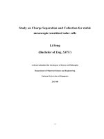 Study on charge separation and collection for stable mesoscopic sensitized solar cells 