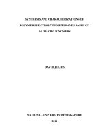 Synthesis and characterizations of polymer electrolyte membranes based on aliphatic ionomers 