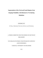 Segmentation of the oral and facial regions from imaging modalities with reduced or no ionizing radiation 