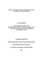 Essays on forecasting life expectancy and fiscal sustainability 1 