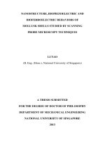 Nanostructure, biopiezoelectric and bioferroelectric behaviors of mollusk shells studied by scanning probe microscopy techniques 