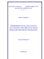 Tình hình bệnh cúm gia cầm và giám sát sự lưu hành của virus trên vịt tại một số chợ đầu mối thuộc địa bàn tỉnh hải dương