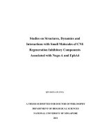 Studies on structures, dynamics and interactions with small molecules of CNS regeneration inhibitory components associated with nogo a and epha4 