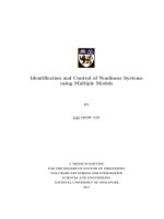 Identification and control of nonlinear systems using multiple models 