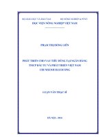 Phát triển cho vay tiêu dùng tại ngân hàng TMCP đầu tư và phát triển việt nam chi nhánh hải dương