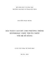 Bài toán cauchy cho phương trình hyperbolic chặt thuần nhất với hệ hằng số