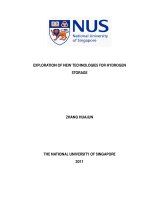 Exploration of new technologies for hydrogen storage 