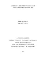 Acquired carbapenemases in gram negative bacilli in singapore 