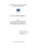 LẬP KẾ HOẠCH E-MARKETING CHO TRANG WEB ZALORA.VN