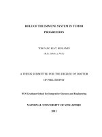 ROLE OF THE IMMUNE SYSTEM IN TUMOR PROGRESSION 1 