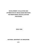 Development, evaluation and optimization of image based methods for monitoring crystallization processes 