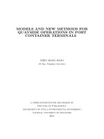 Models and new methods for the quayside operations in port container terminals 