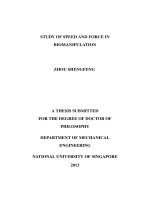 Study of speed and force in biomanipulation 