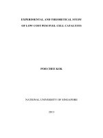 Experimental and theoretical study of low cost PEM fuel cell catalysts 