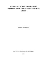 Nanostructured metal oxide materials for dye sensitized solar cells 