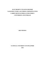 Electrospun titanium dioxide nanostructures and their composites with carbon rich materials for energy conversion and storage 