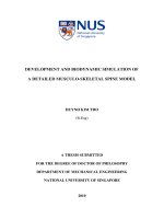 Development and biodynamic simulation of a detailed musculo skeletal spine model 