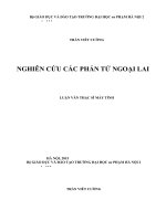 Nghiên cứu các phần tử ngoại lai  luận văn thạc sĩ máy tính