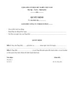 Mẫu quyết định thôi việc