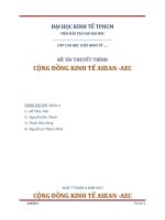 CỘNG ĐỒNG KINH TẾ ASEANAEC