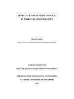 Effective treatment of solid tumors via cryosurgery 