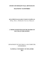 Study of domain wall devices in magnetic nanowires 