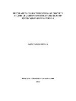 Preparation, characterization and property studies of carbon nanostructures derived from carbon rich materials 